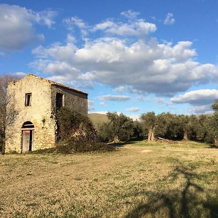 Villa La Tartaruga Sabina Palombara Sabina Εξωτερικό φωτογραφία