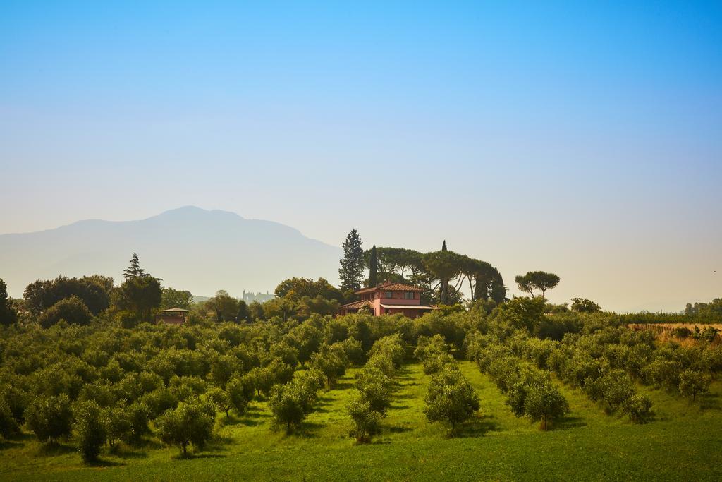 Villa La Tartaruga Sabina Palombara Sabina Εξωτερικό φωτογραφία