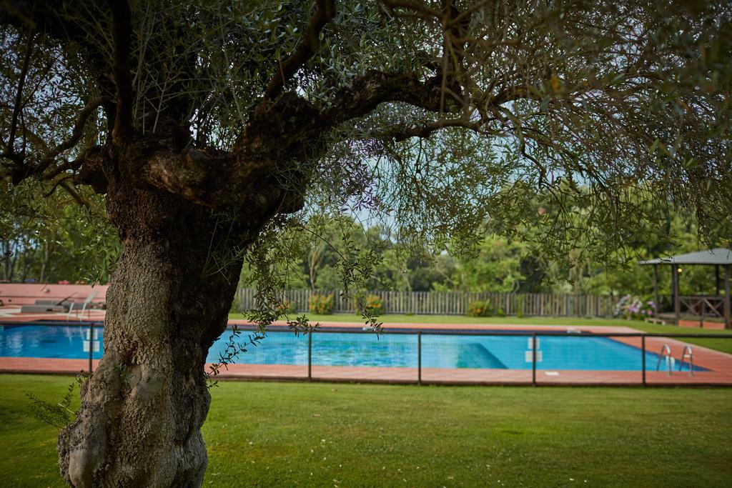 Villa La Tartaruga Sabina Palombara Sabina Εξωτερικό φωτογραφία