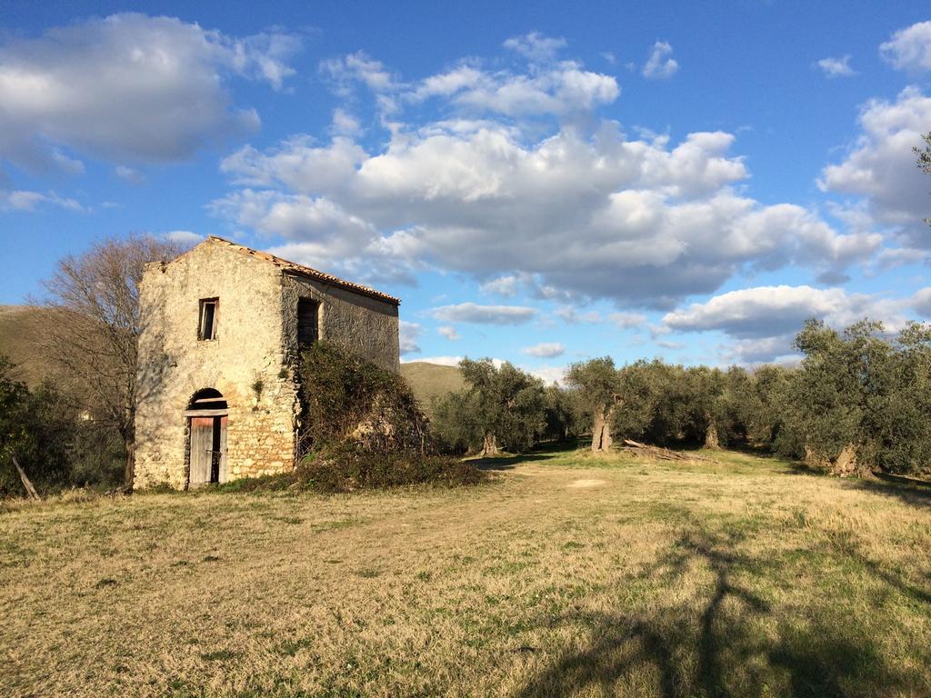 Villa La Tartaruga Sabina Palombara Sabina Εξωτερικό φωτογραφία